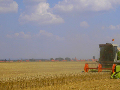 Obermichelbach im August - Ernte auf Pfefferloh VI ;-)