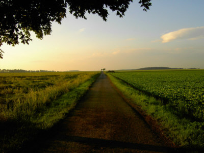 Obermichelbach im Mai - Feldweg bei Rothenberg